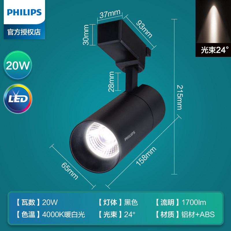 Black casing 20W neutral light 4000K