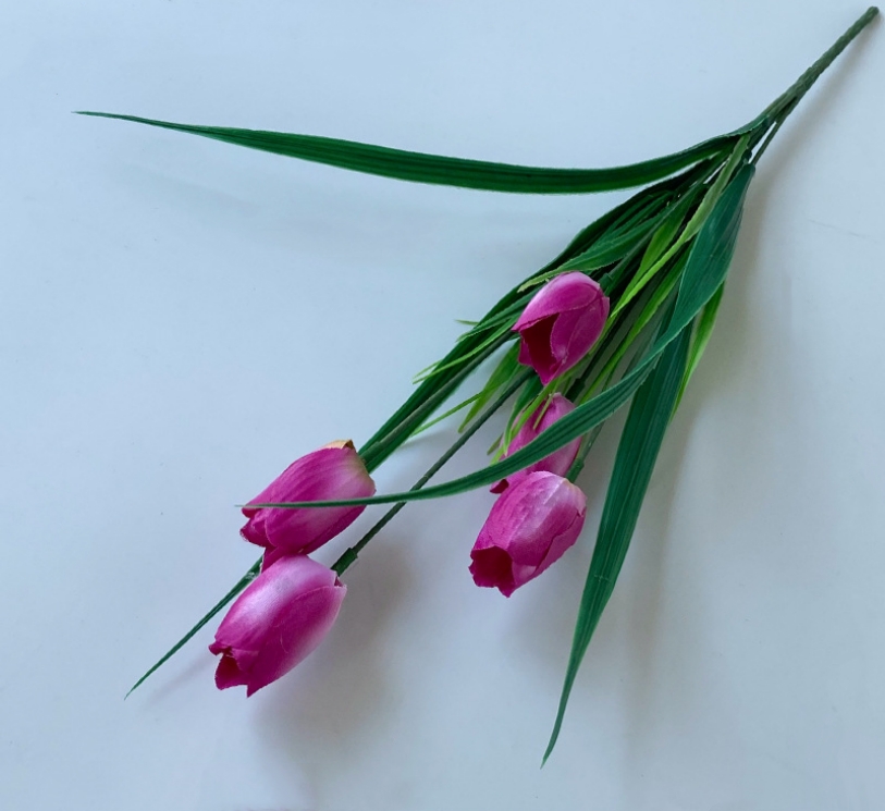 Pourpre