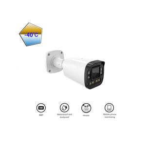 Freezer / Cold Storage Heated 5MP Bullet CCTV Security <strong>Network</strong> Camera for Cold Environment