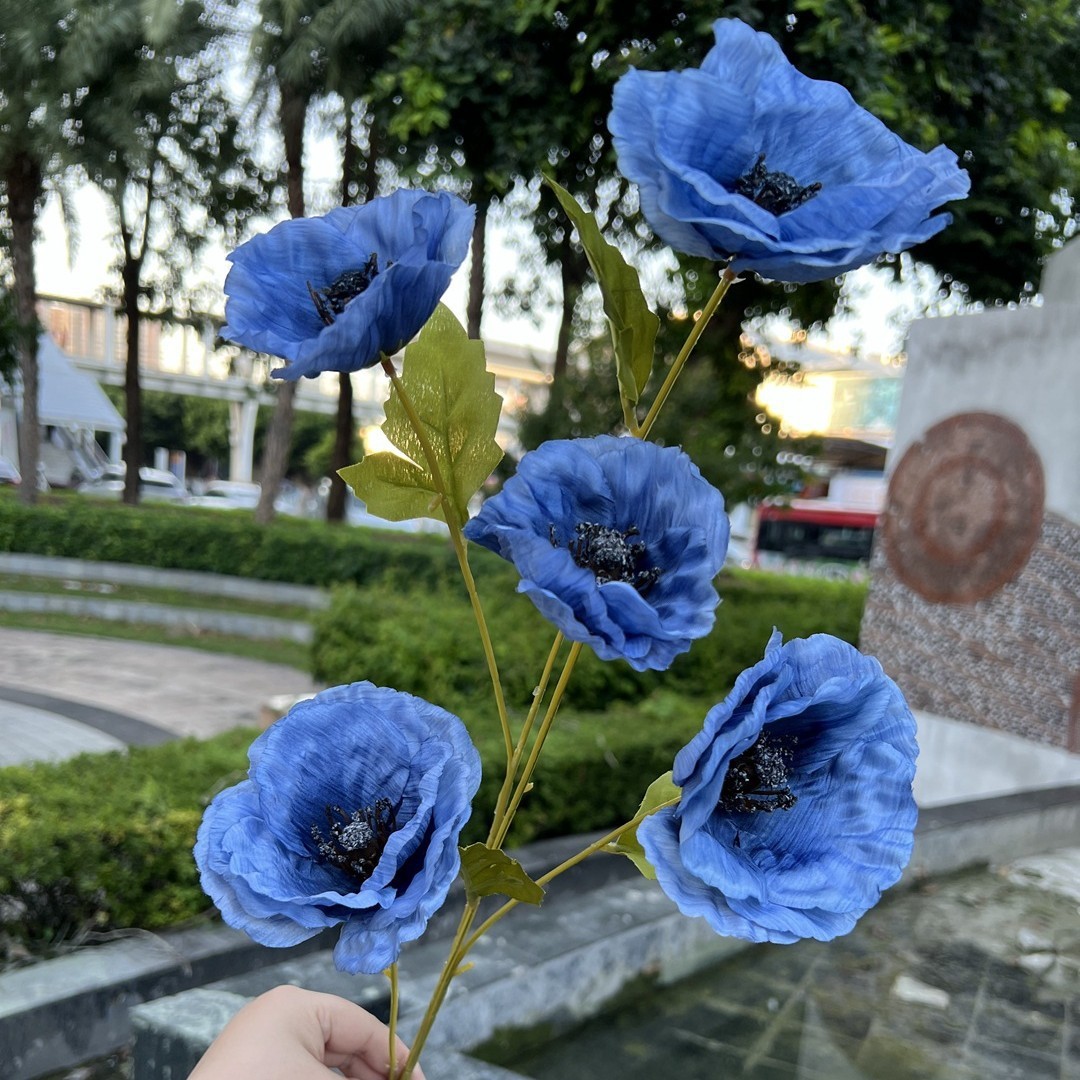Bleu Poussiéreux, 5 gros coquelicots bleu profond