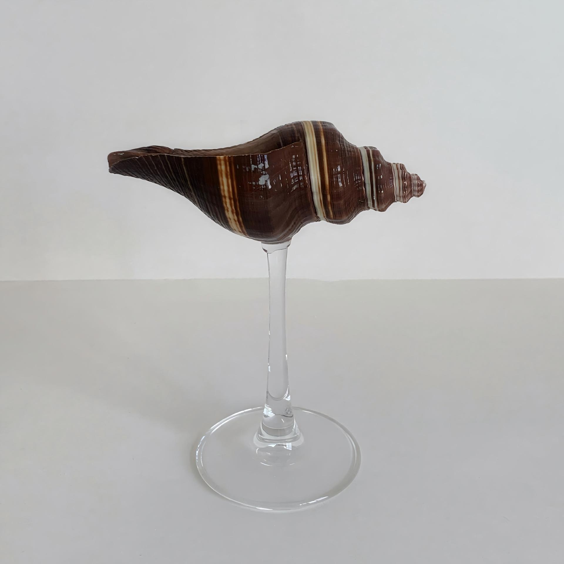 Copa de vino transparente con forma de caracol negro.