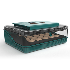 Hhd Product Idea 2023 50 Egg Incubator Under Battery 12 Mini <strong>Automatic</strong> Egg Incubator Chicken Machine Equipments Home <strong>Use</strong> - Product Image 1