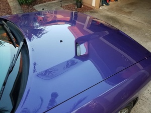 Free Sample Ceramic <strong>Coating</strong> for Car Detailing Professionals | 2+ Years of Protection &amp; Patented UV - Product Image 5
