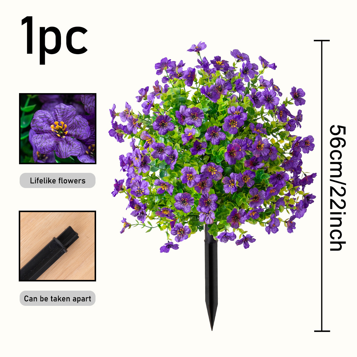 Violet Ground Bush, Purple