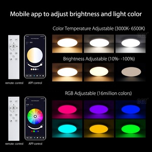 Современный 12 дюймов 20 Вт внутренний умный светодиодный светильник RGB цвета потолочный дизайн с поверхностным креплением Tuya Control LED Flush Mount - Product Image 3