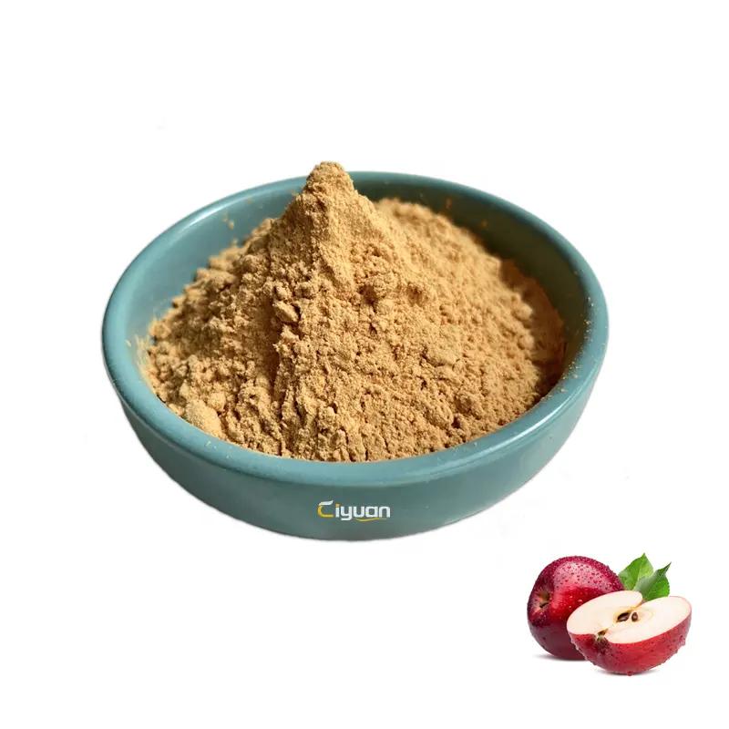 CiYuan-polifenol de manzana, extracto de cáscara de manzana en polvo, 80%