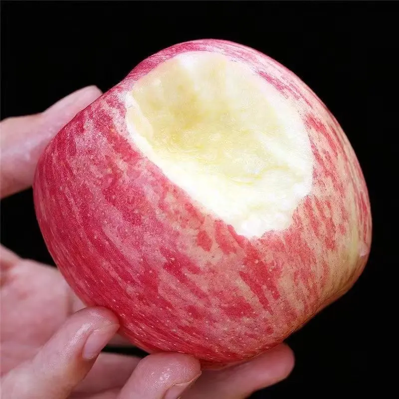 Cina segar merah Fuji Apple Harga segar apel eksportir kualitas tinggi segar merah lezat buah apel