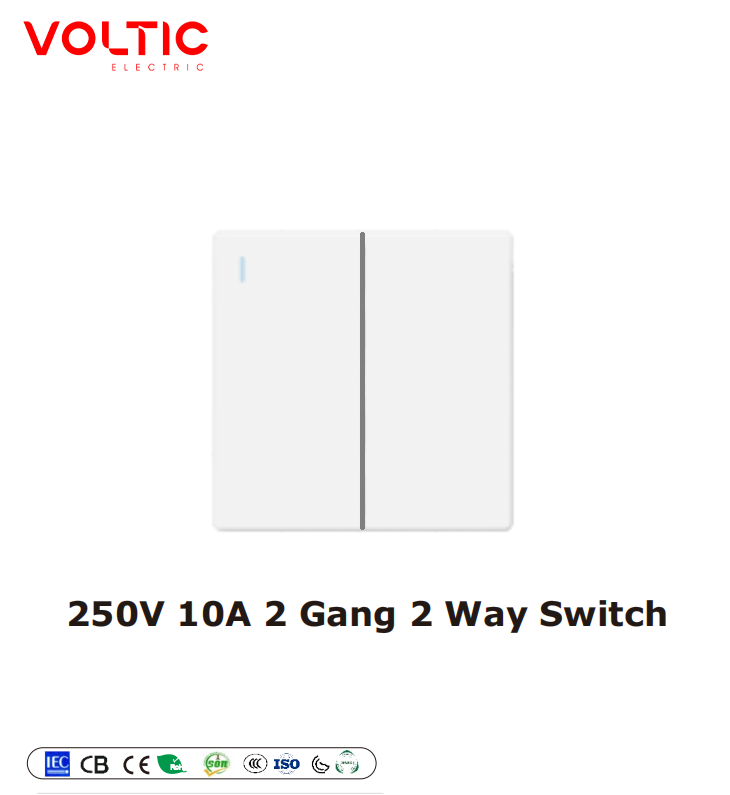 2 gang 2 way plate switch