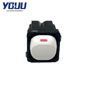 Çift GPO özelleştirilmiş voltaj desteği ile uyumlu YOUU 16A çift kutuplu anahtar mekanizması - Product Image 1