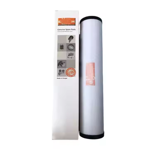 Oil <strong>Separator</strong> Filter Busch 0532140159 For Busch Pumps R5/RA 0160 R5/RA 0250 R5/RA 0302 Replacement