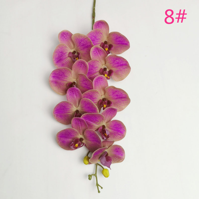 style8 purple