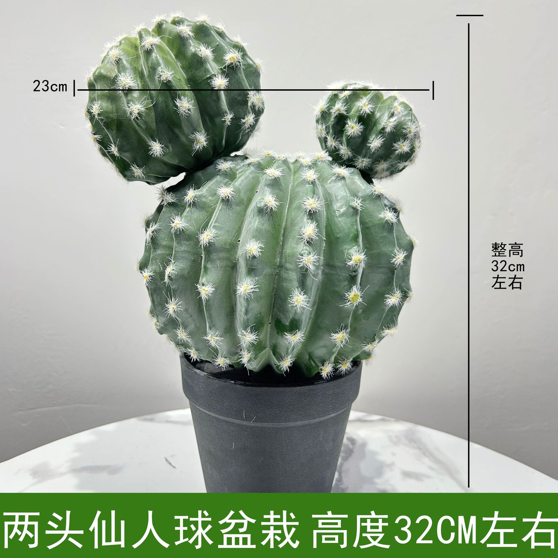 Dos cactus en maceta