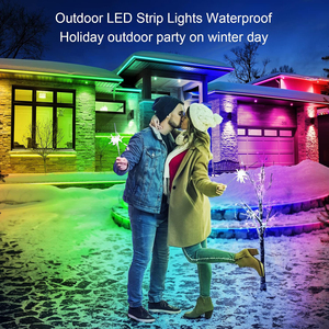 100FT RGBLEDストリップライト防水IP67アプリリモコン付き音楽同期RGBLEDロープライト - Product Image 5