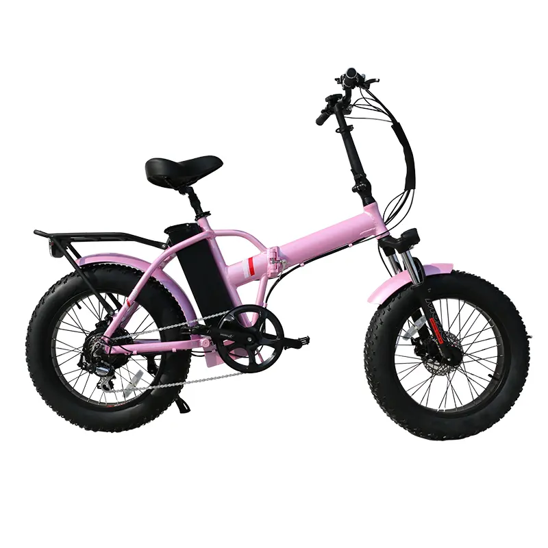 OEM CE Factory High Power 20inch Low Carbon Fat Tire Ebike 48V 500W Dual Motor Electric Bike Mountain Electric Bicycles