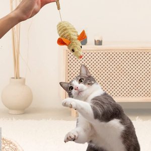Itten-hielo refrigerado para gatos, hierba para gatos - Product Image 2
