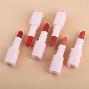 Toptan 14 renk mat pembe tüp yüksek Pigment uzun ömürlü hiçbir Logo katı ruj özel etiket makyaj - Product Image 5