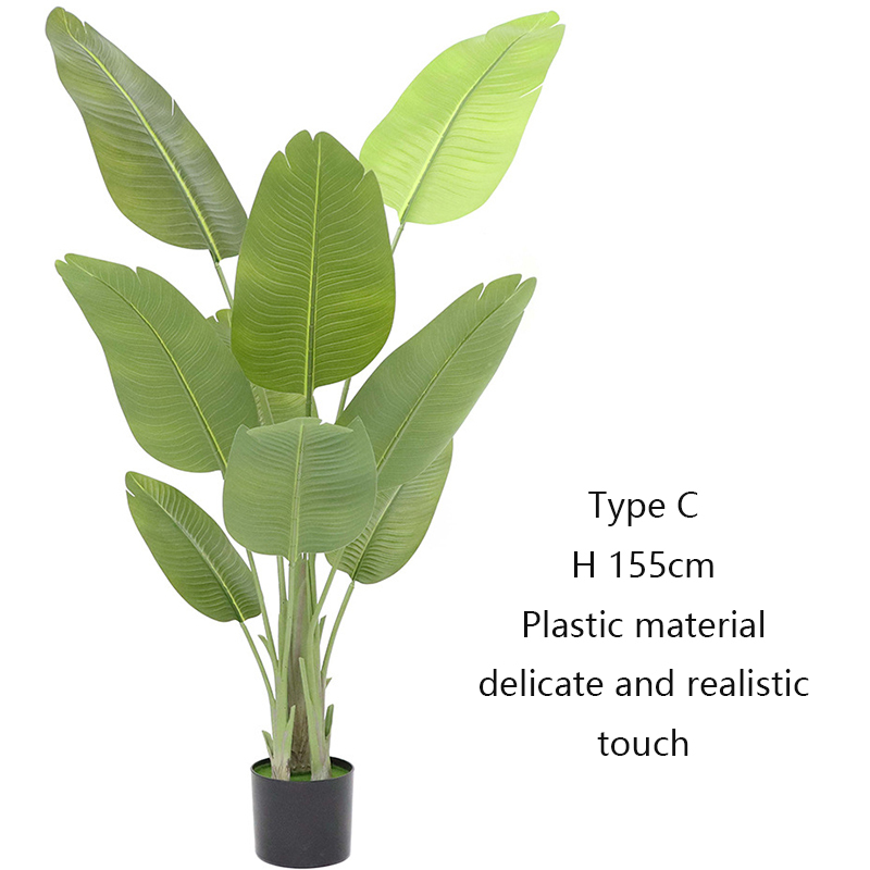 vert Type C 160cm
