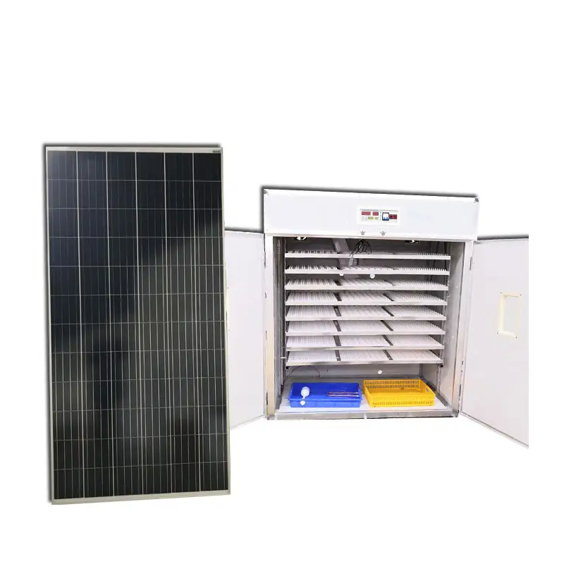معدات تفقيس بيض الدجاج بالطاقة الشمسية ، حاضنات تعمل بالطاقة الشمسية والكهربائية ، سعر حاضنة تفريخ البيض بالطاقة الشمسية