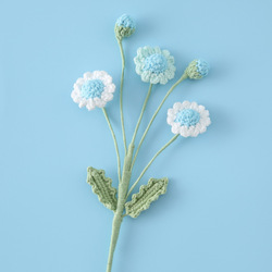 Blanc bleu