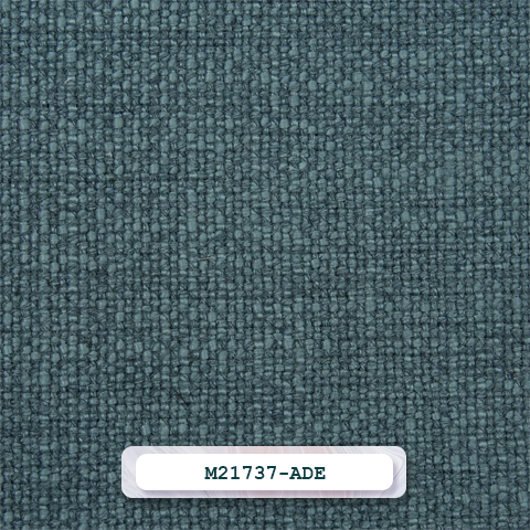M21737-ADE