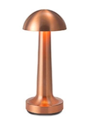 Type B ROSE GOLD