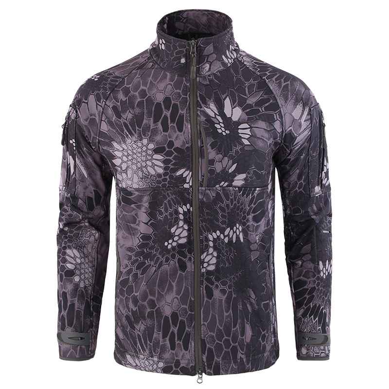 Couleur de camouflage 5