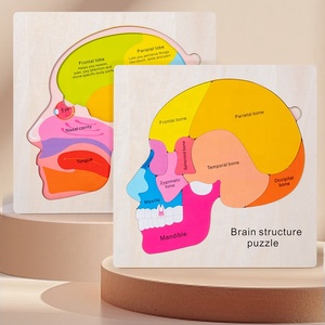 人脑结构脑零件匹配木板游戏幼儿家庭学校活动儿童科学游戏 - Product Image 2