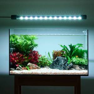 Yee Fabriek Groothandel Full Spectrum <span class=keywords><strong>Aquarium</strong></span> Led Licht Onderdompelbare <span class=keywords><strong>Aquarium</strong></span> Licht Waterdichte Verlichtingsstrip Met Zuighouder - Product Image 1