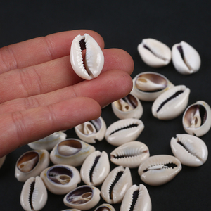 Doğal zanaat yarım kesim bölünmüş deniz kabuk Cowrie Shell dekor deniz kabuğu kabuklu deniz hayvanı kabuğu - Product Image 5