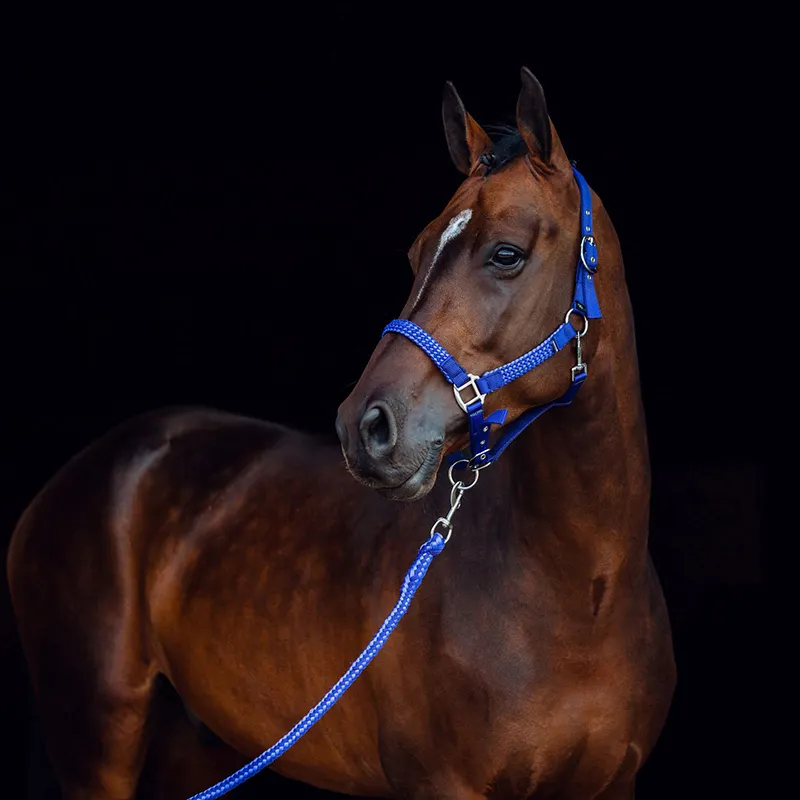 Vendita calda cavezza per cavalli con corda di piombo attrezzatura per equini equestri di alta qualità professionale personalizza collare per la testa di cavallo