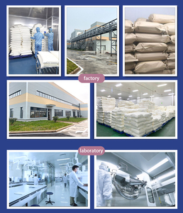 RTS moq 100 đã sẵn sàng để tàu Antarctic nhuyễn thể dầu Omega-3s dầu cá 6 9 EPA DHA tảo Astaxanthin PS 50% bột trẻ em não tăng cường - Product Image 5