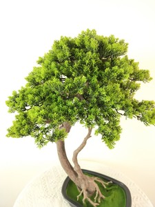 Artificial <strong>Cypress</strong> Pine Tree - Product Image 2