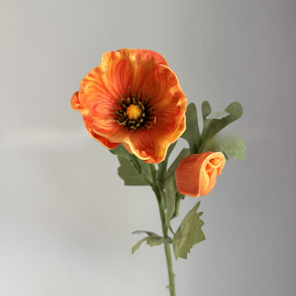 naranja
