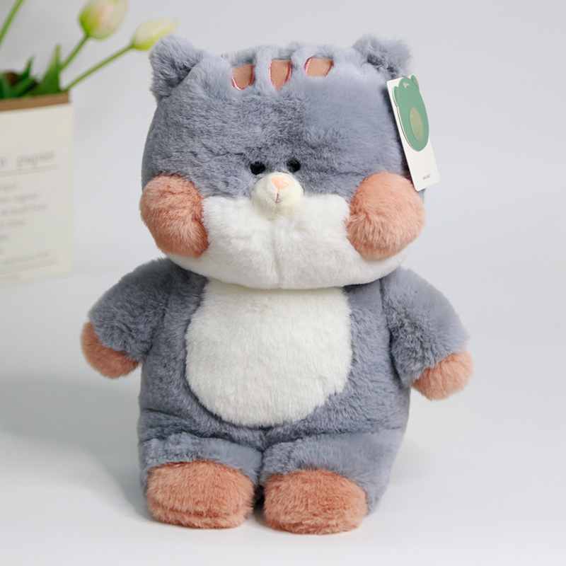Gray cat