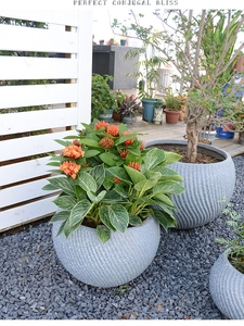 批发圆形球形花卉花盆大花园家居装饰地板使用室内/室外植物优质花瓶