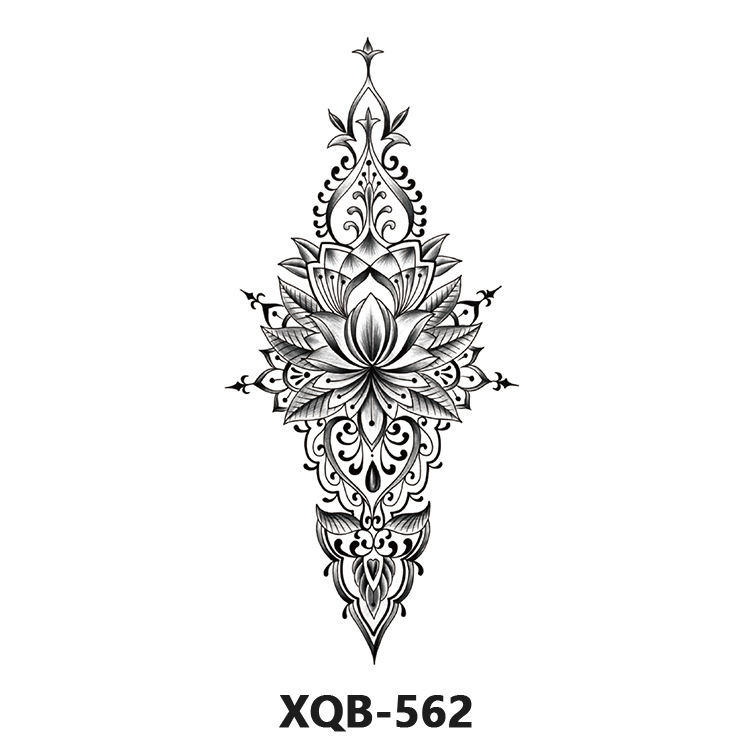 XQB562