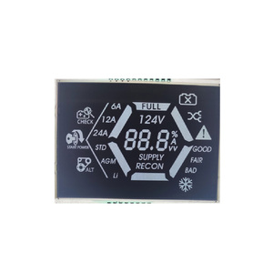 Modello di vendita caldo schermo da 3.63 pollici segmento pannello Lcd schermo schermo schermo modulo Display Lcd