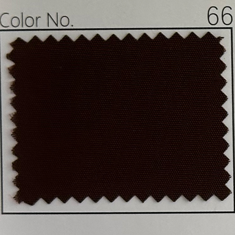 66