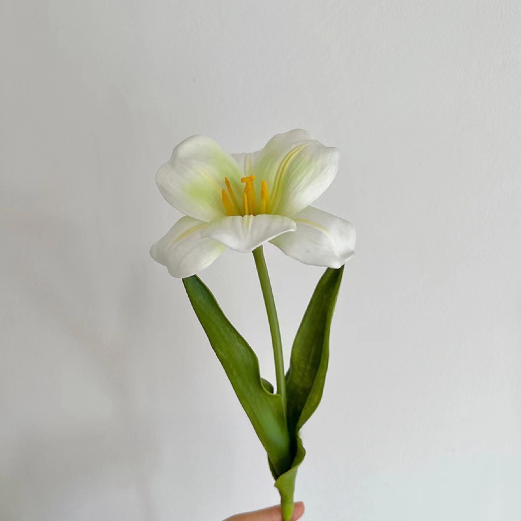 Une tulipe verte en fleurs