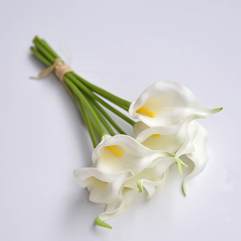 Blanc avec du jaune