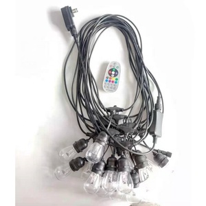 RGBW屋外防水カラーWifi Fostoonライトストリングリモコン調光フェスティバル雰囲気7色ストリングライト - Product Image 1