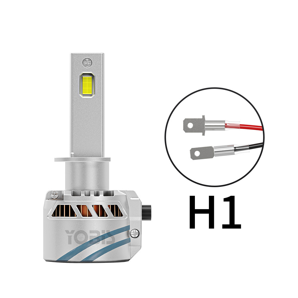 H1