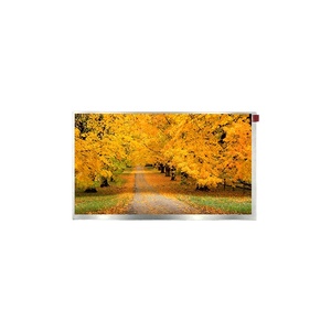 Benutzer definierte 7-Zoll-FSTN/CSTN-TFT-Module mit Touch-COG-Bildschirm RGB-Schnitts telle LED-Hintergrund beleuchtung Benutzer definiertes IPS-LCD-Display - Product Image 3