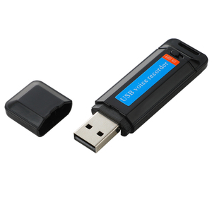 Sconto prezzo basso supporto scheda TF digitale audio registratore audio MP3 lettore USB registratore disco - Product Image 2