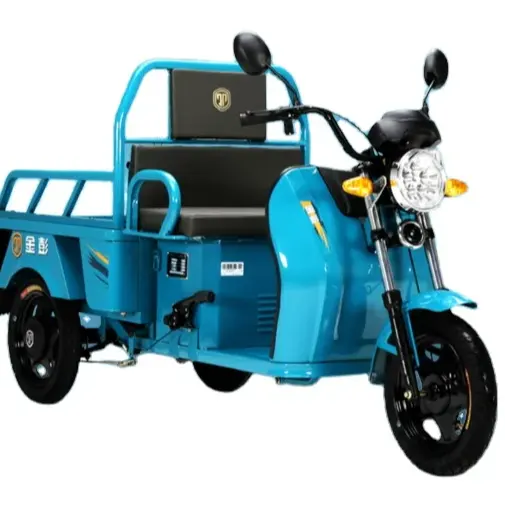 Electric Tricycle for The Elderly to Pick up and Drop Off Children Low-cost Jinpeng 1.1m 48V Cargo Lead Acid Eec Open 2 Seats