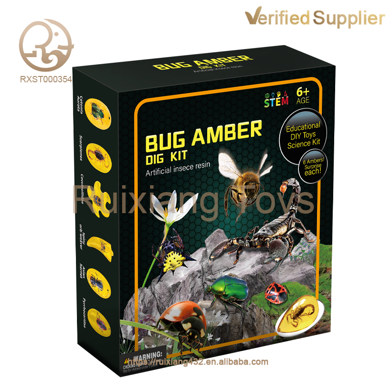 Insect amber archaeology set toy