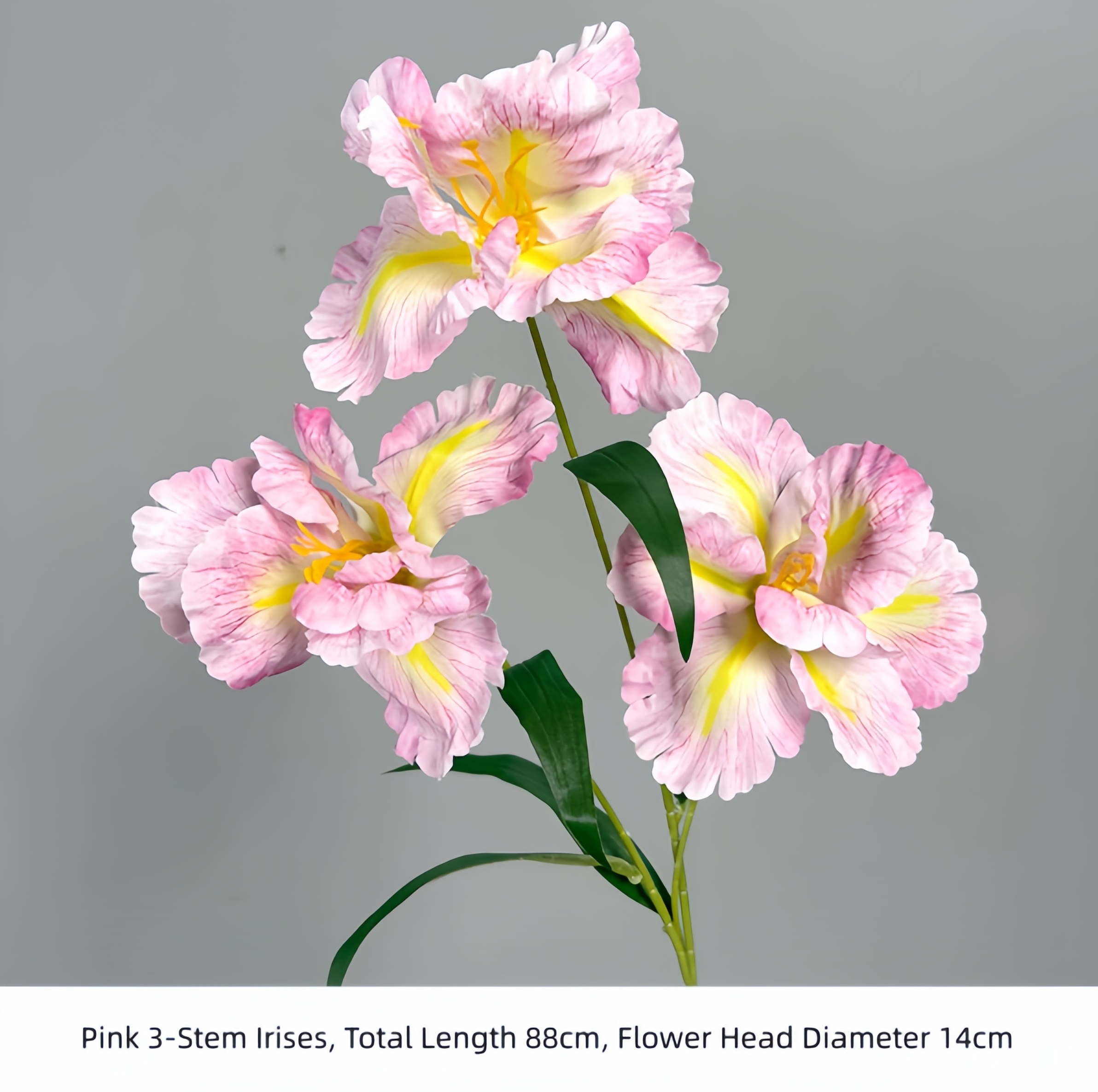 Pink 3-Stem Irises
