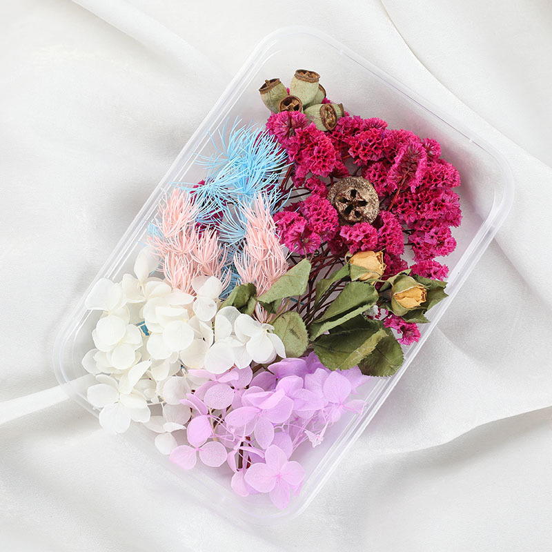 สีสัน-9