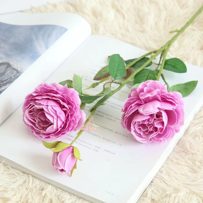 สีม่วง