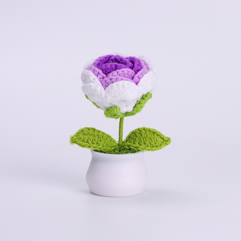 Rose gradient purple
